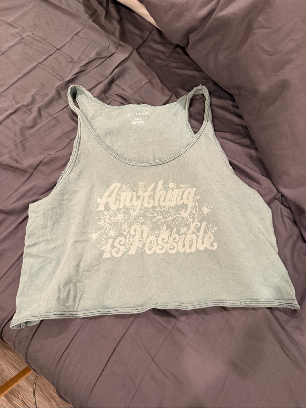 American Eagle Outfitters Sage Green Cropped Graphic Tank